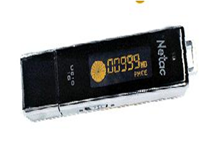 ChLCD Module shown in a portable device