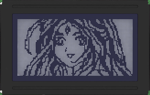 FSTN negative display